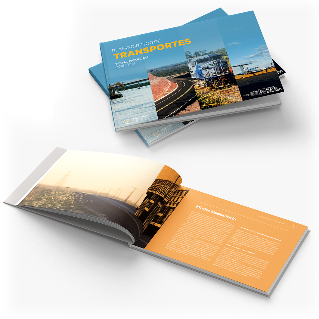 Development of the Transport Logistics Strategic Plan